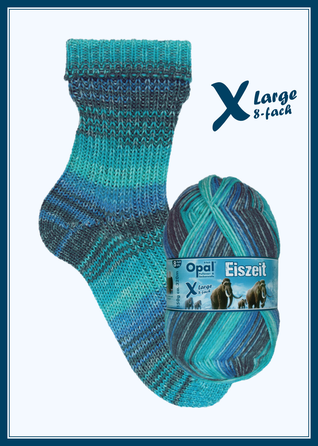 Cozy Starter Socks Kit