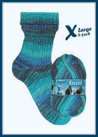 Cozy Starter Socks Kit