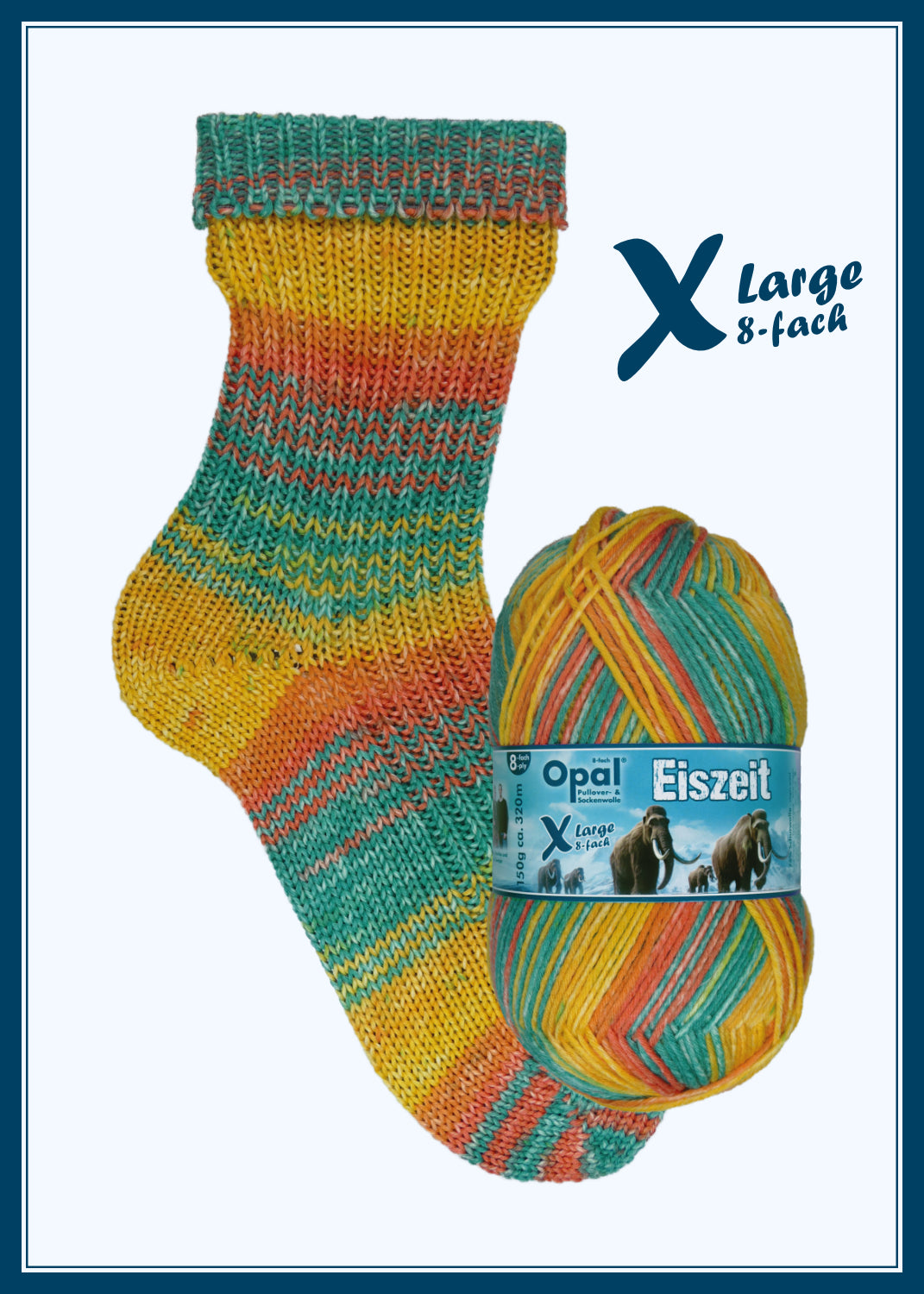 Cozy Starter Socks Kit