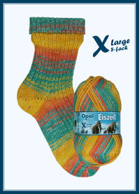Cozy Starter Socks Kit