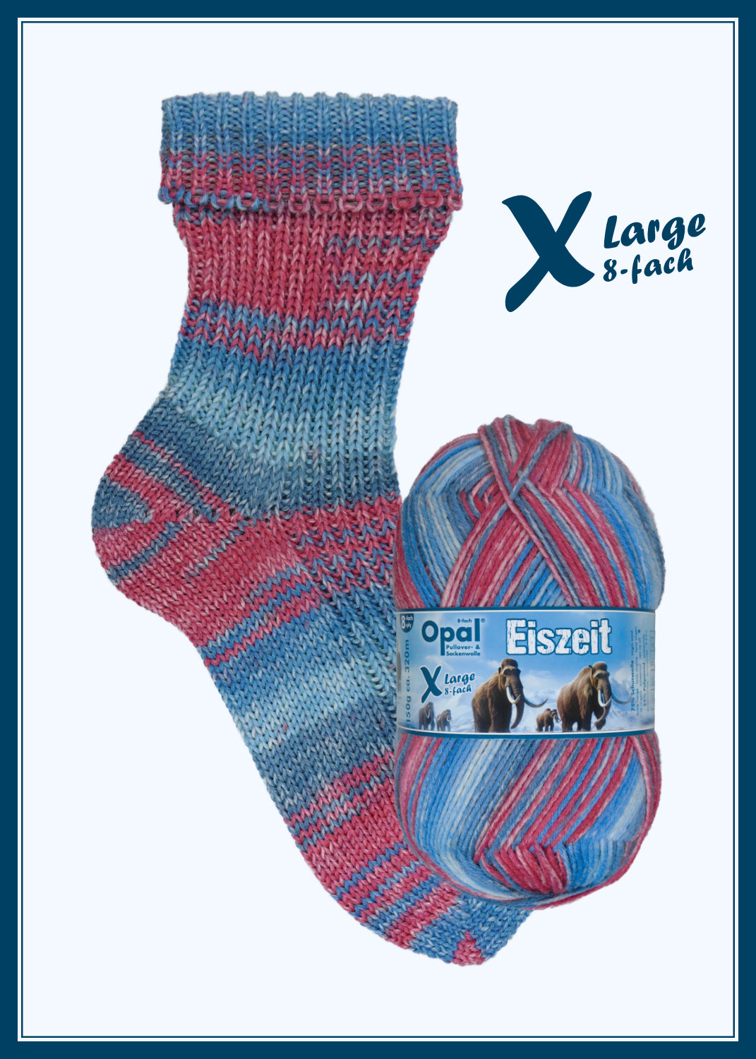 Cozy Starter Socks Kit