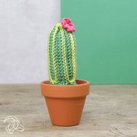 DIY Crochet Kit - Cacti