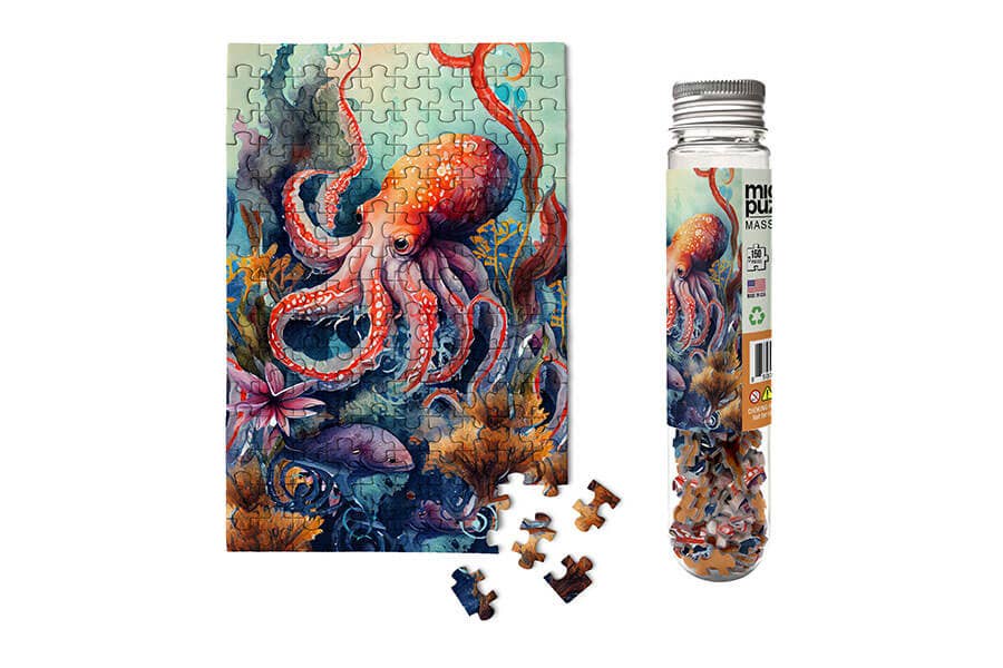 Octopus - Marine Life