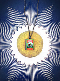 Book Locket Necklace - Frog and Toad Together