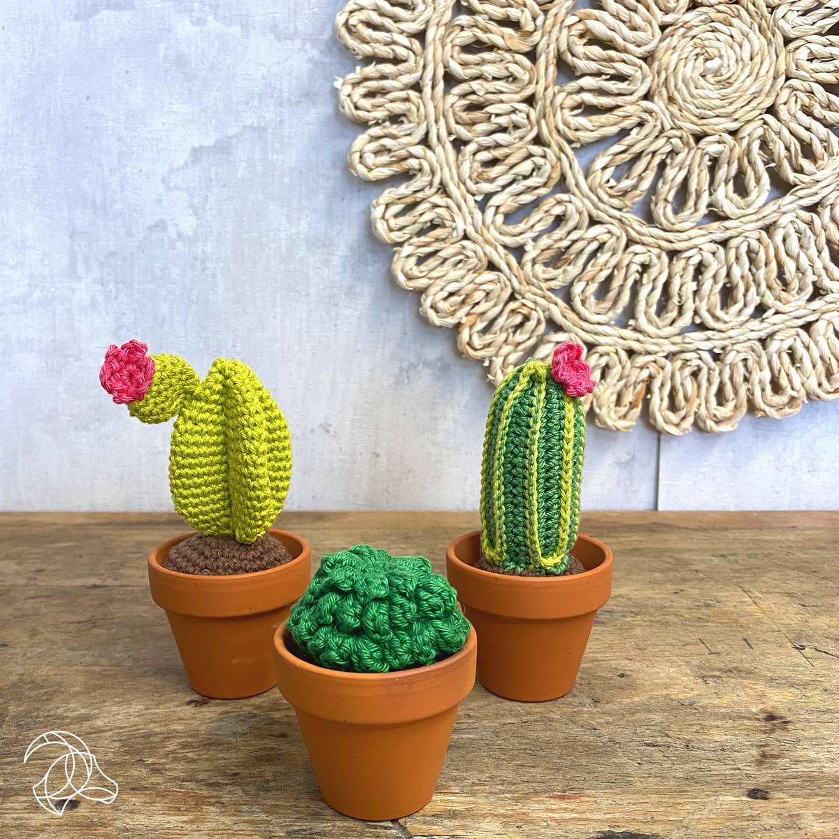 DIY Crochet Kit - Cacti