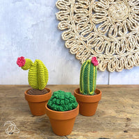 DIY Crochet Kit - Cacti
