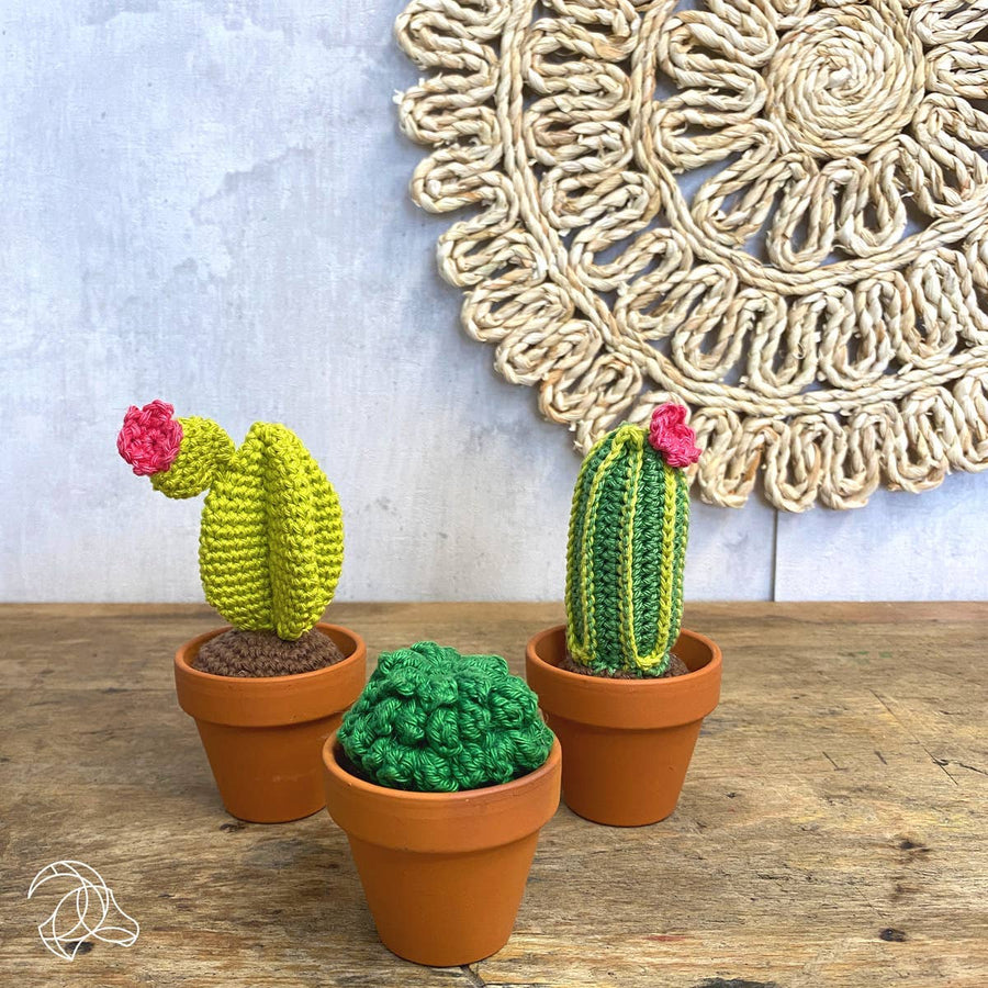 DIY Crochet Kit - Cacti