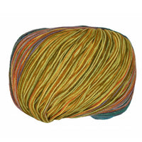 Multicolored skein of Cairns yarn on a white background