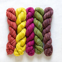 Fino Mini Skein Kit