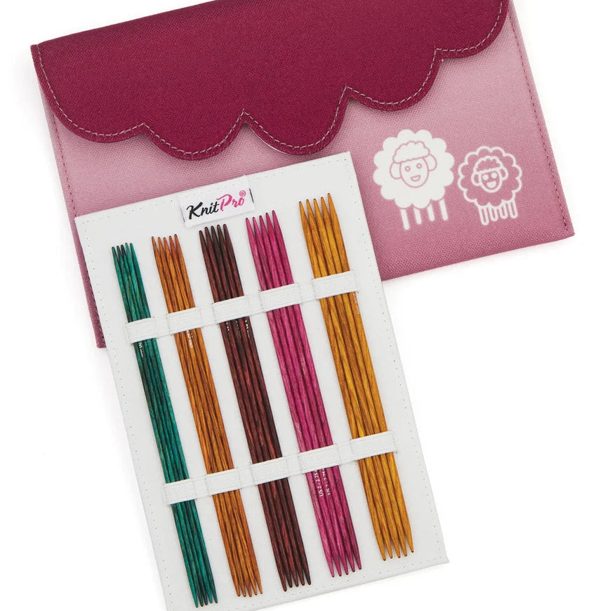 Dreamz 6" Double Pointed Needle Deluxe Set