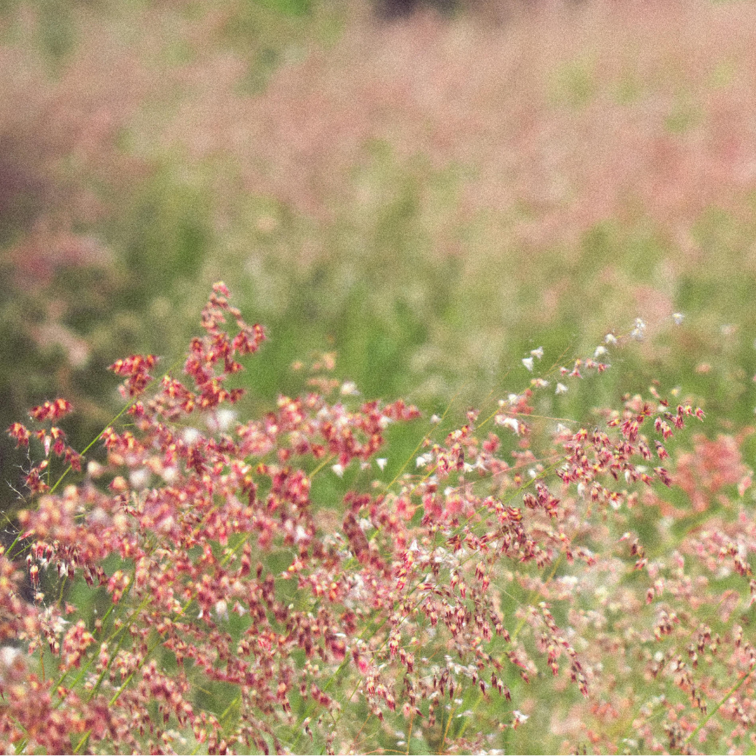 Anniversary Surprise Box: Preorder