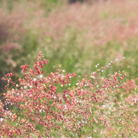 Anniversary Surprise Box: Preorder