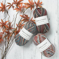 Arne & Carols Socks & More 4 Ply
