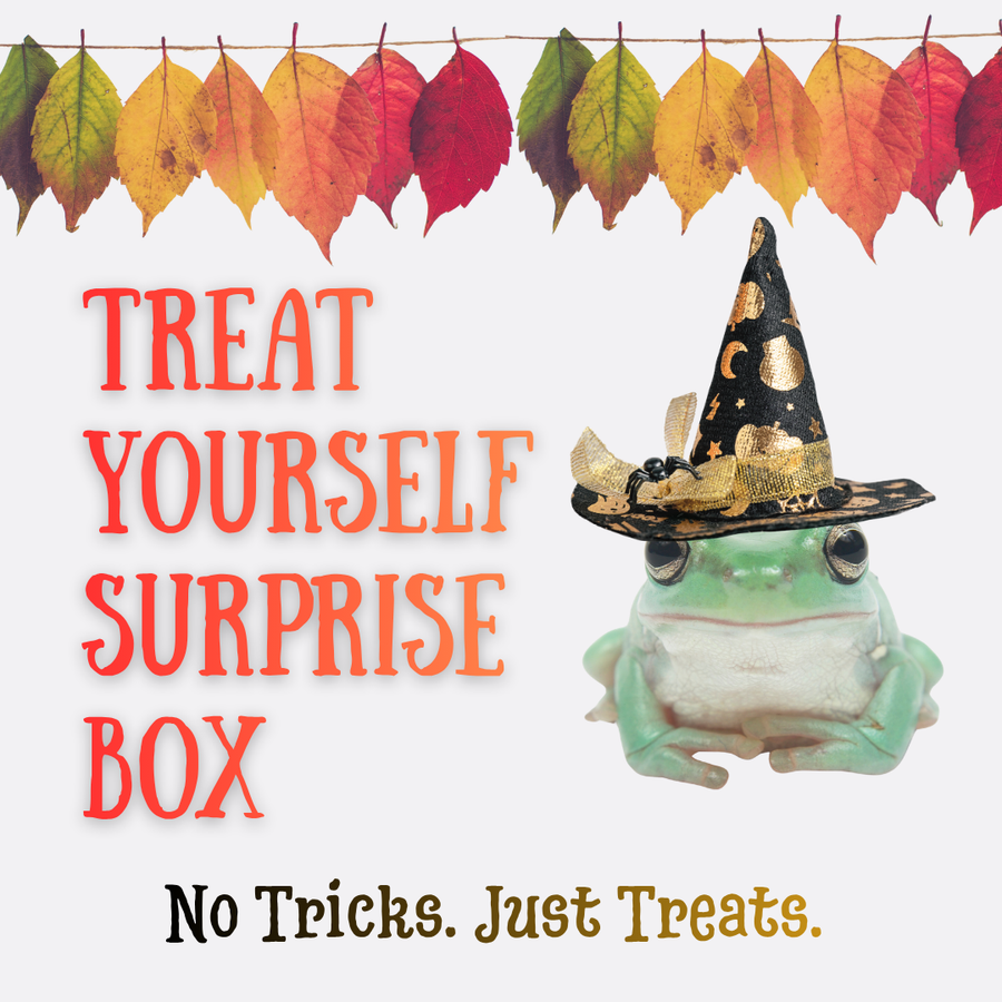 Treat Yourself Surprise Box: Preorder