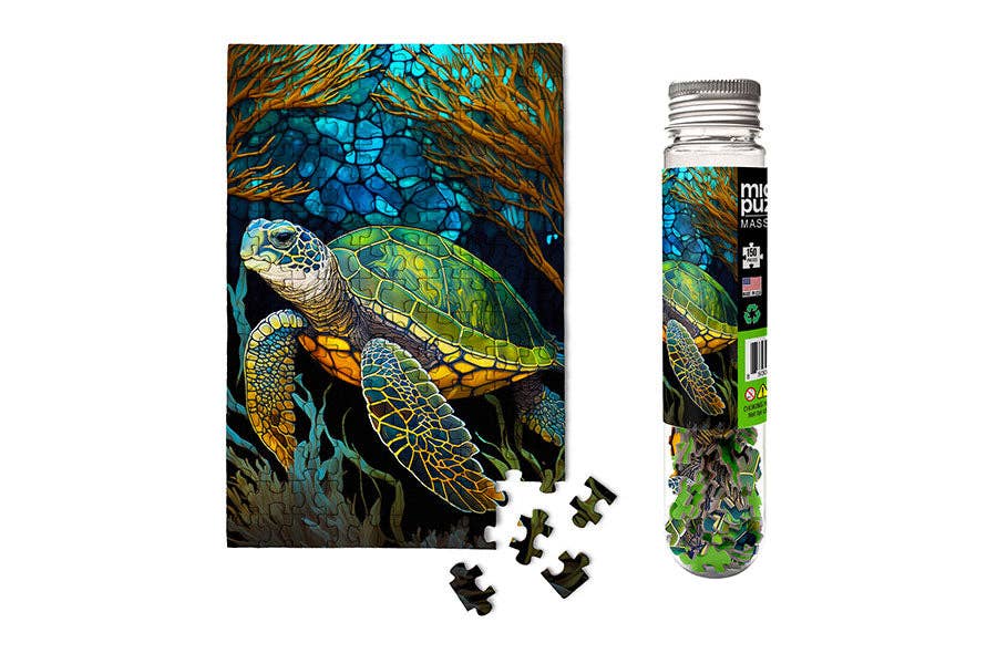 Sea Turtle - Marine Life